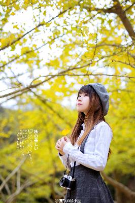 士兵突击电视剧全集免费观看