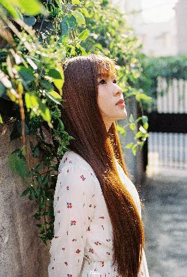 加州旅馆1977原版